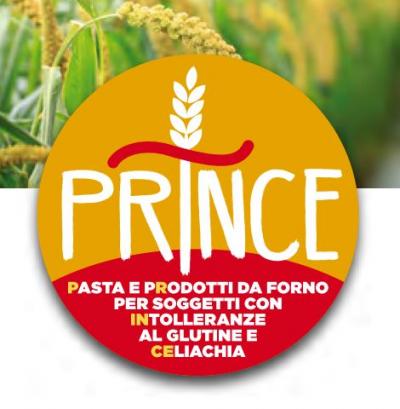 Logo del Progetto Prince