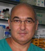 Daniele Marrelli